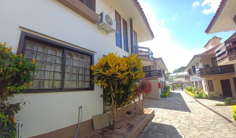 Circulação externa